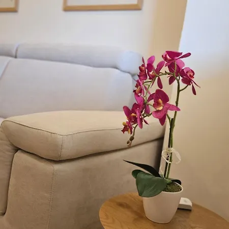 住宿加早餐酒店 Casa Del Centro