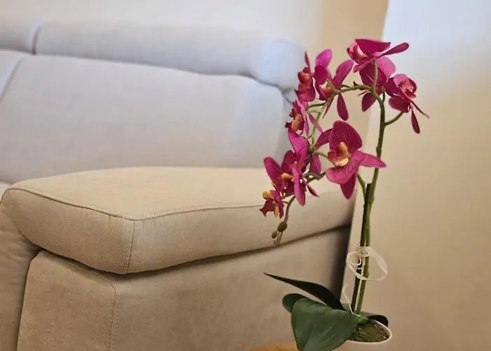 לינה וארוחת בוקר Casa Del Centro